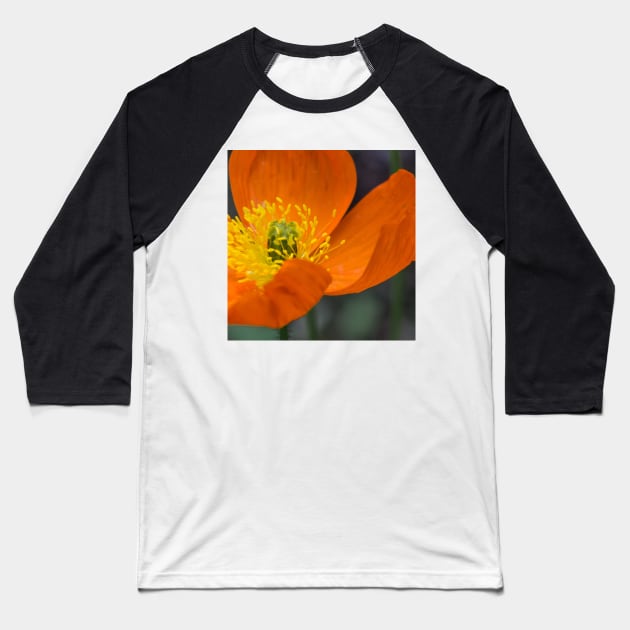 Poppy Baseball T-Shirt by CanadianWild418